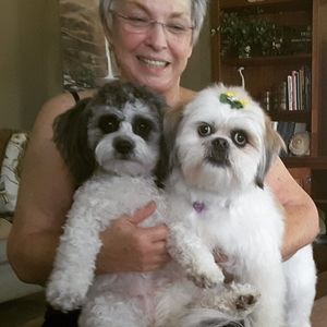 Meet your Posher, Carole